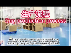 ПЛС Пластиковая термоформационная машина с площадью формирования 750*500 мм